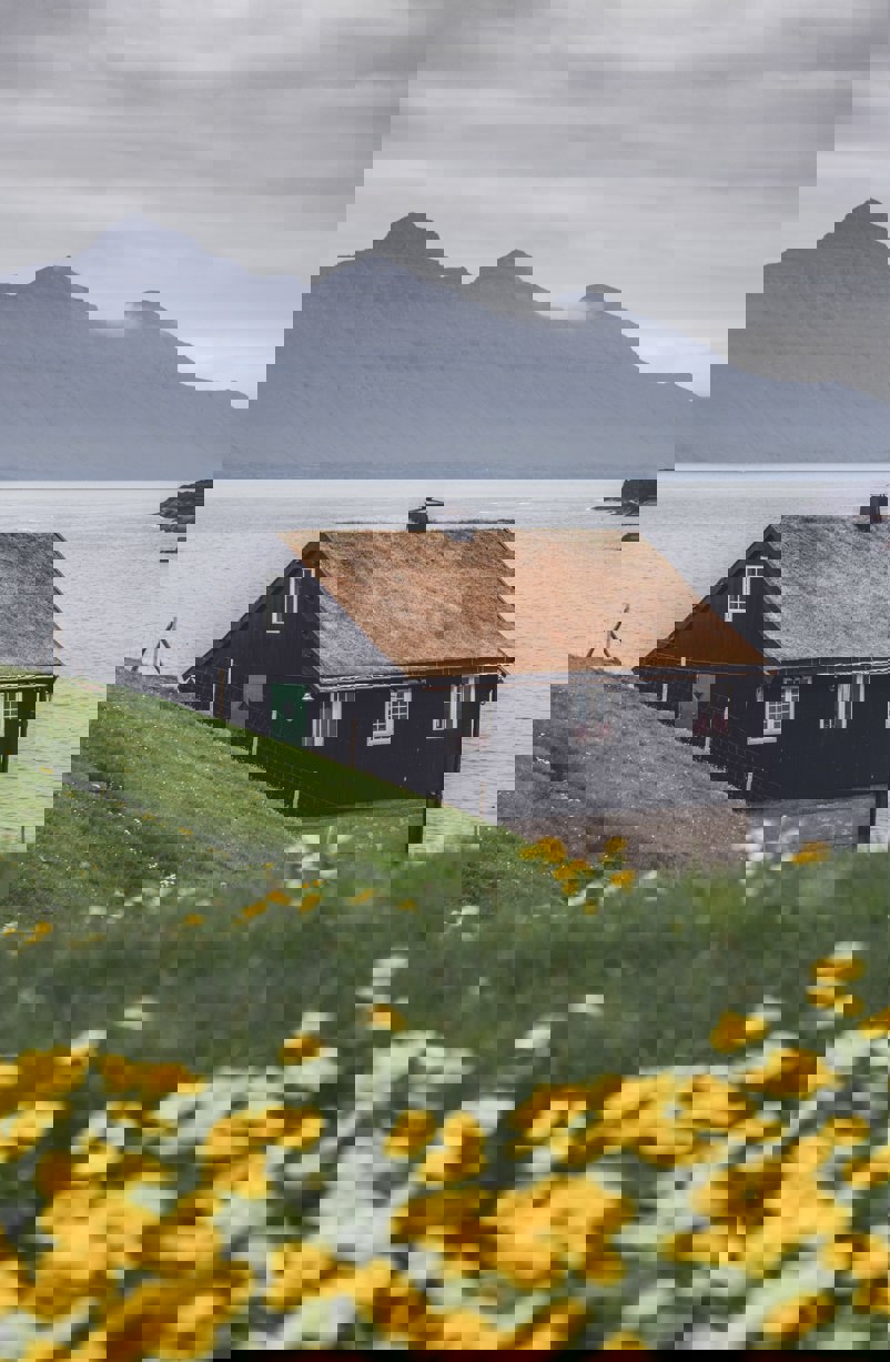 Andrew Svk Vedahmiuvha Unsplash