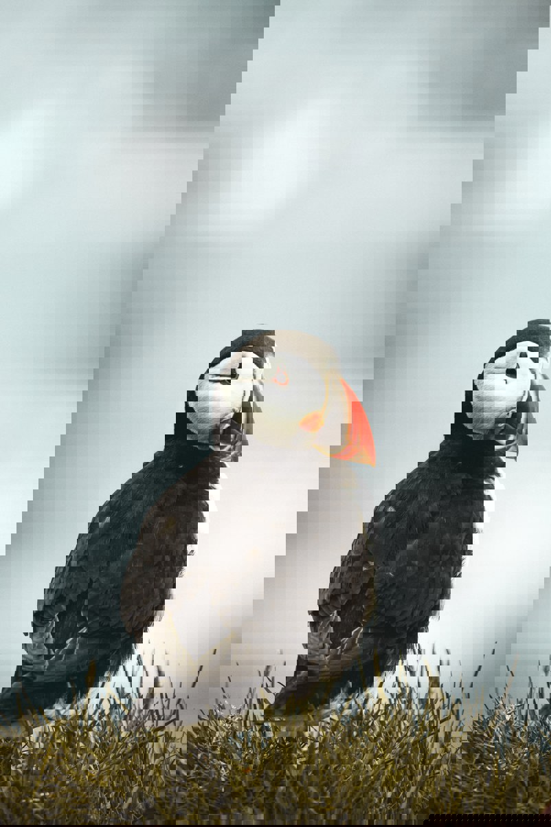 Robert Bahn Uttjypz2caa Unsplash